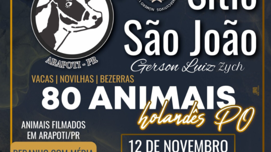 Vem aí o Leilão Online Sítio São João Gerson Luis Zych